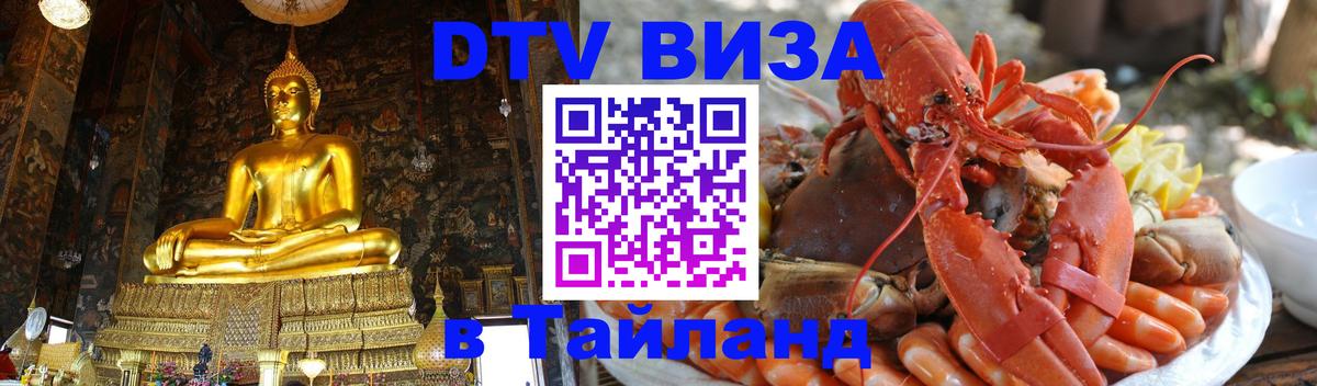 Оформление DTV визы под ключ: стоимость и тарифы, только загранпаспорт - Пенза  20.11.2025 